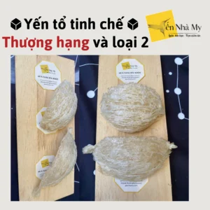 Tổ-yến-tinh-chế-so-sanh-thượng-hạng-và-loại-2-1-yennhamy