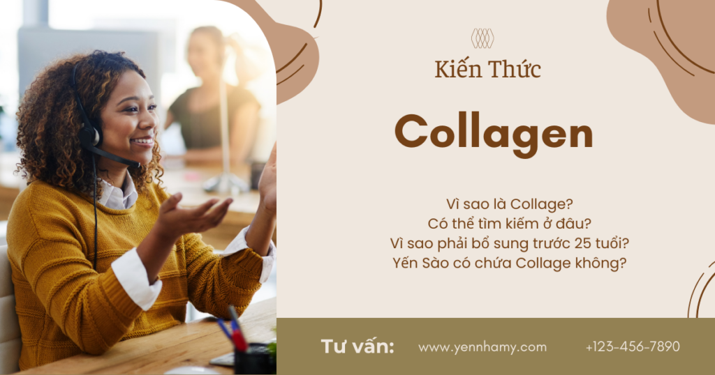 Collagen có trong yến tổ không?