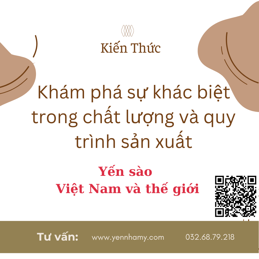 Yen-sao-Viet-Nam-va-the-gioi-Kham-pha-su-khac-biet-trong-chat-luong-va-quy-trinh-san-xuat